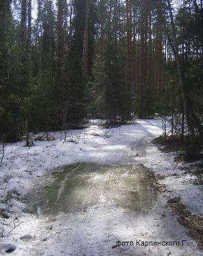 Волшебная лужа